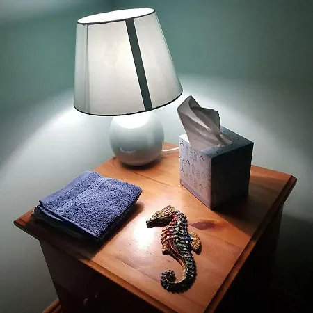 Idyllic Inchydoney Beach - Amazing Sea Views, Path To Beach! Feriehus Cork